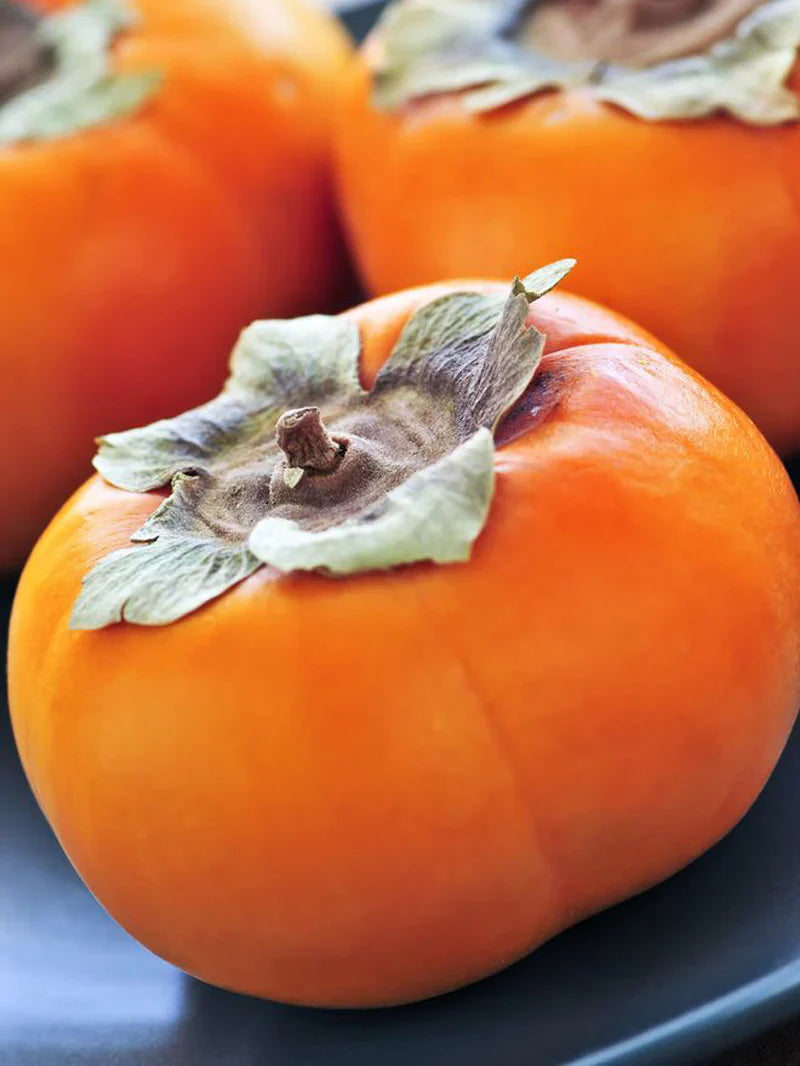 Persimmon Trees - Ichi Ki Kei Jiro (Non-Astringent)